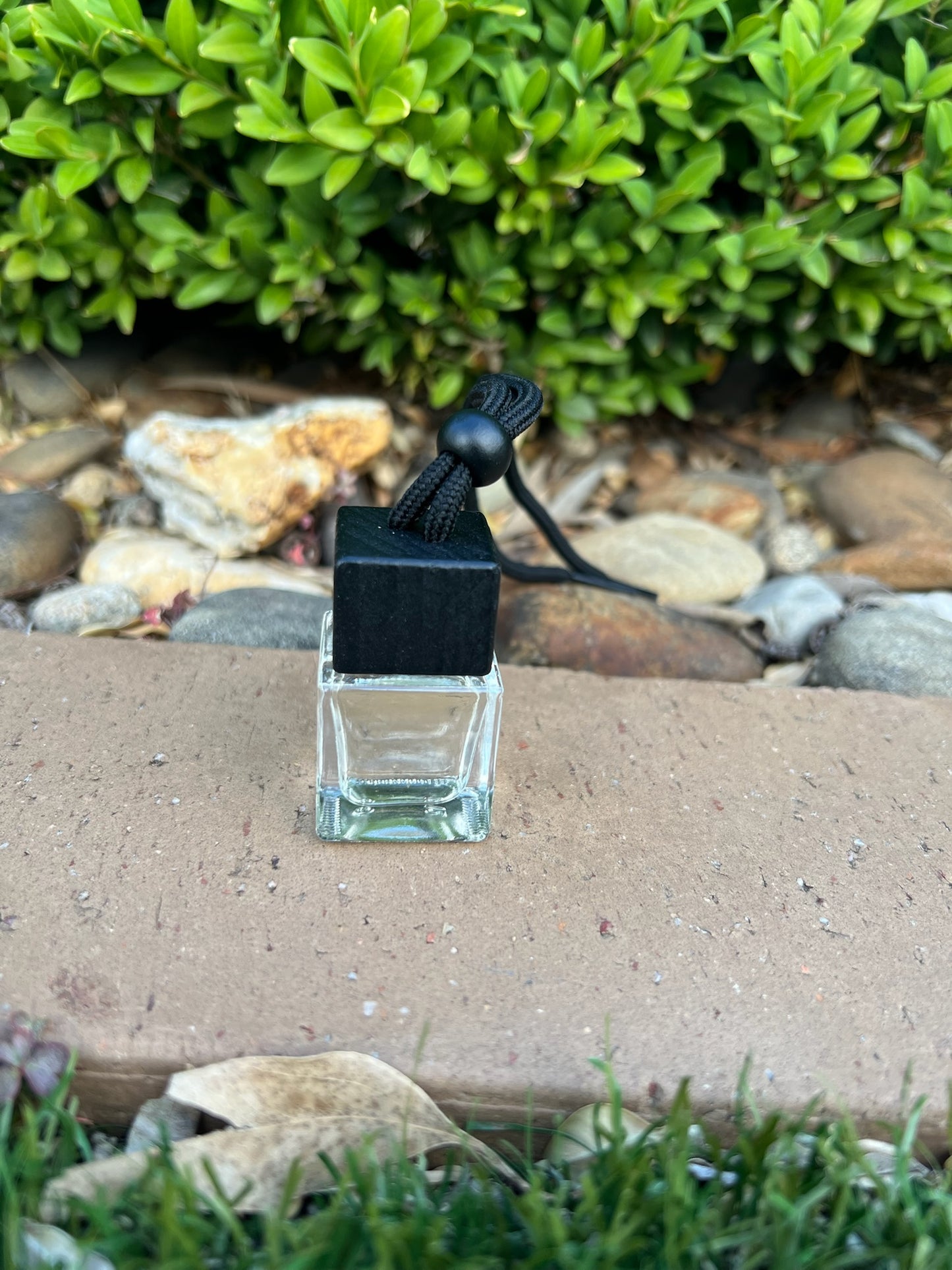 Watermelon Bliss - Car Diffuser