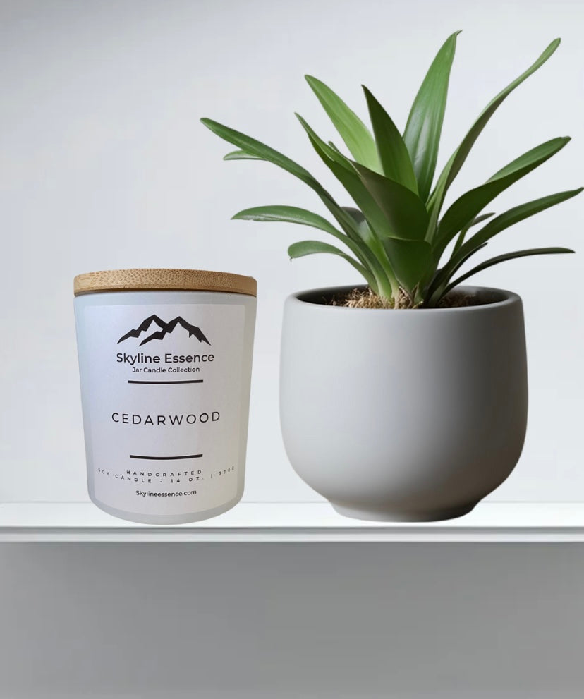 Cedarwood - Matte White Jar