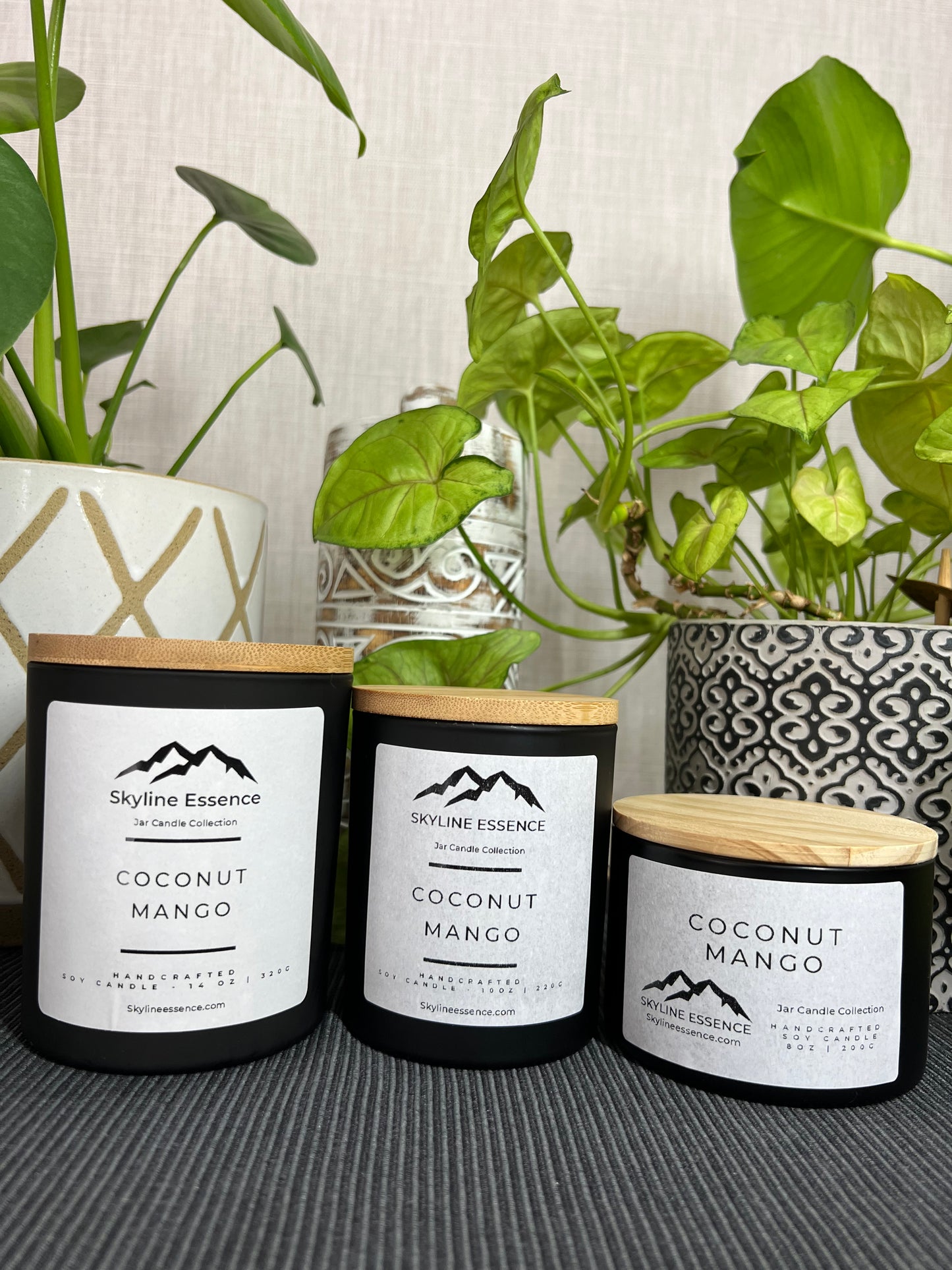 Coconut Mango - Matte Black Jar
