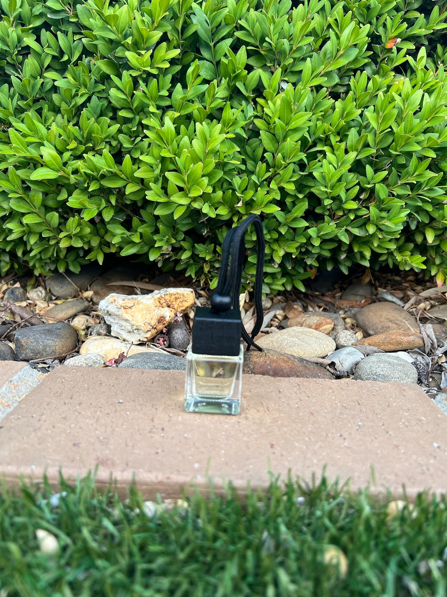 Japanese Honeysuckle - Car Diffuser