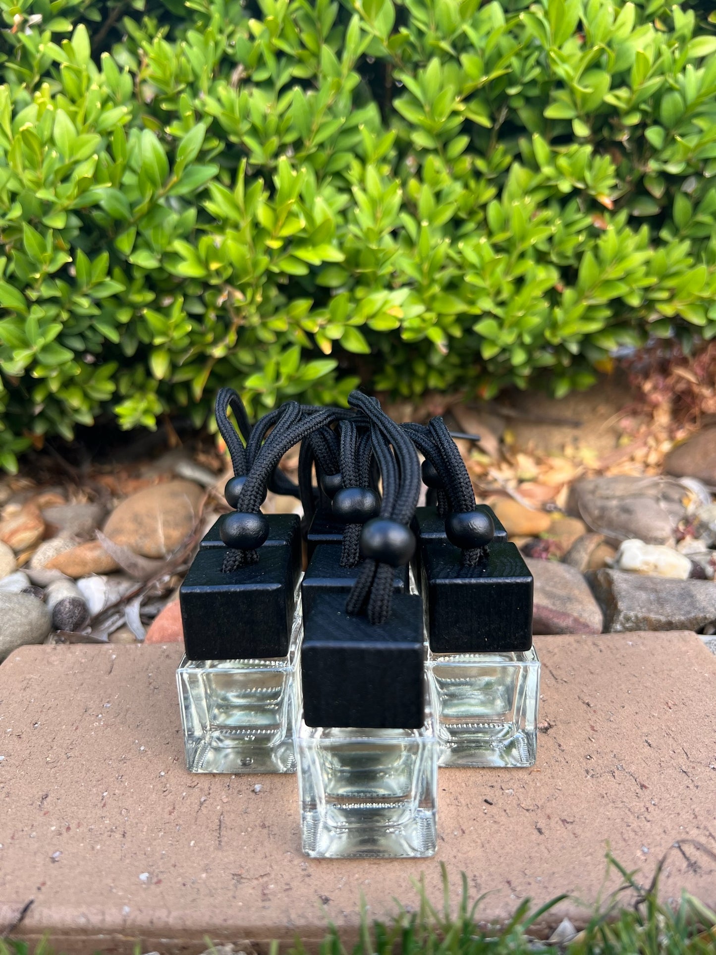 Champagne & Strawberries - Car Diffuser