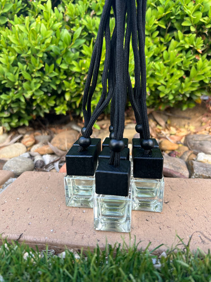 Watermelon Bliss - Car Diffuser