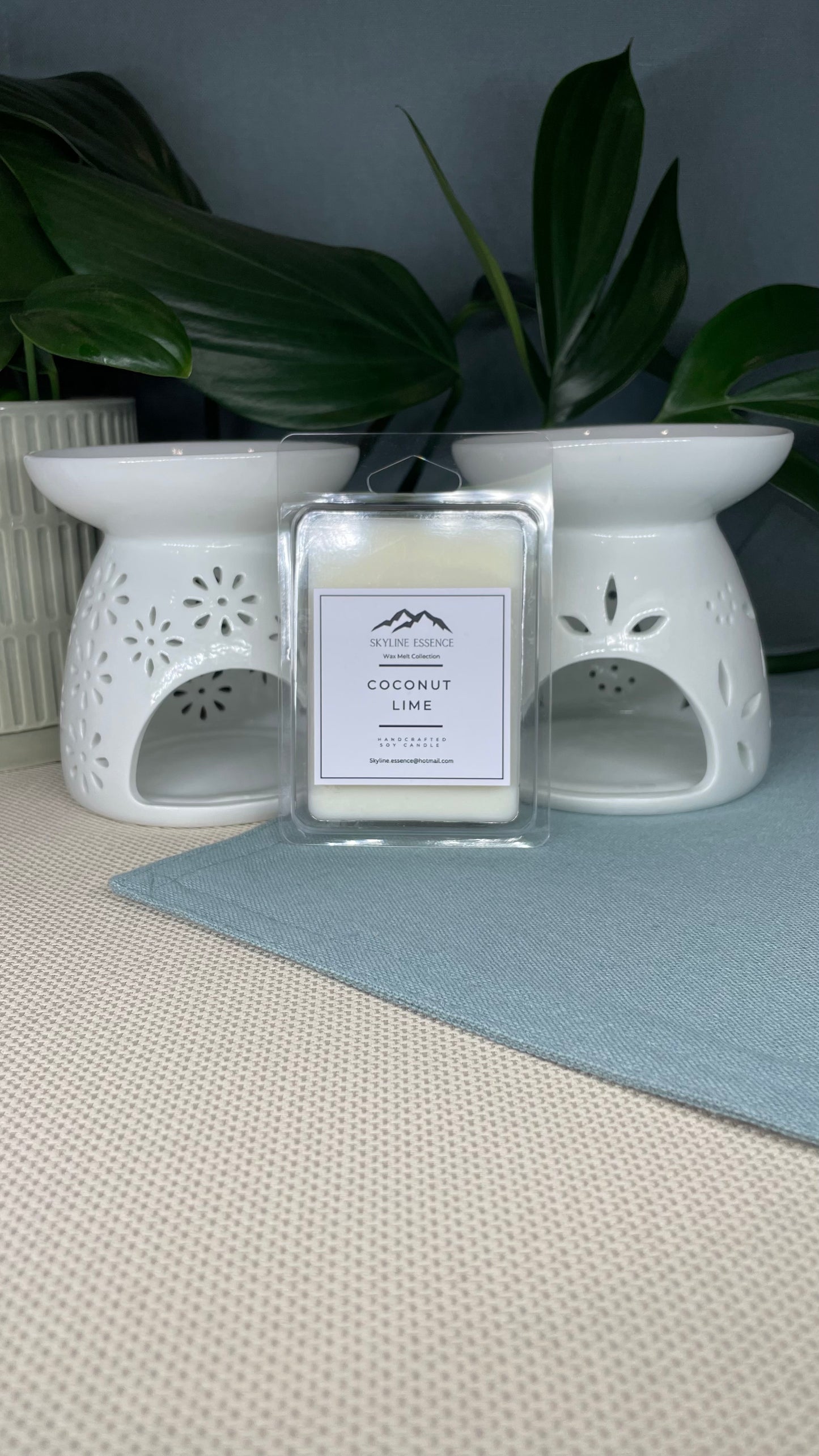 Coconut Lime - Wax Melts