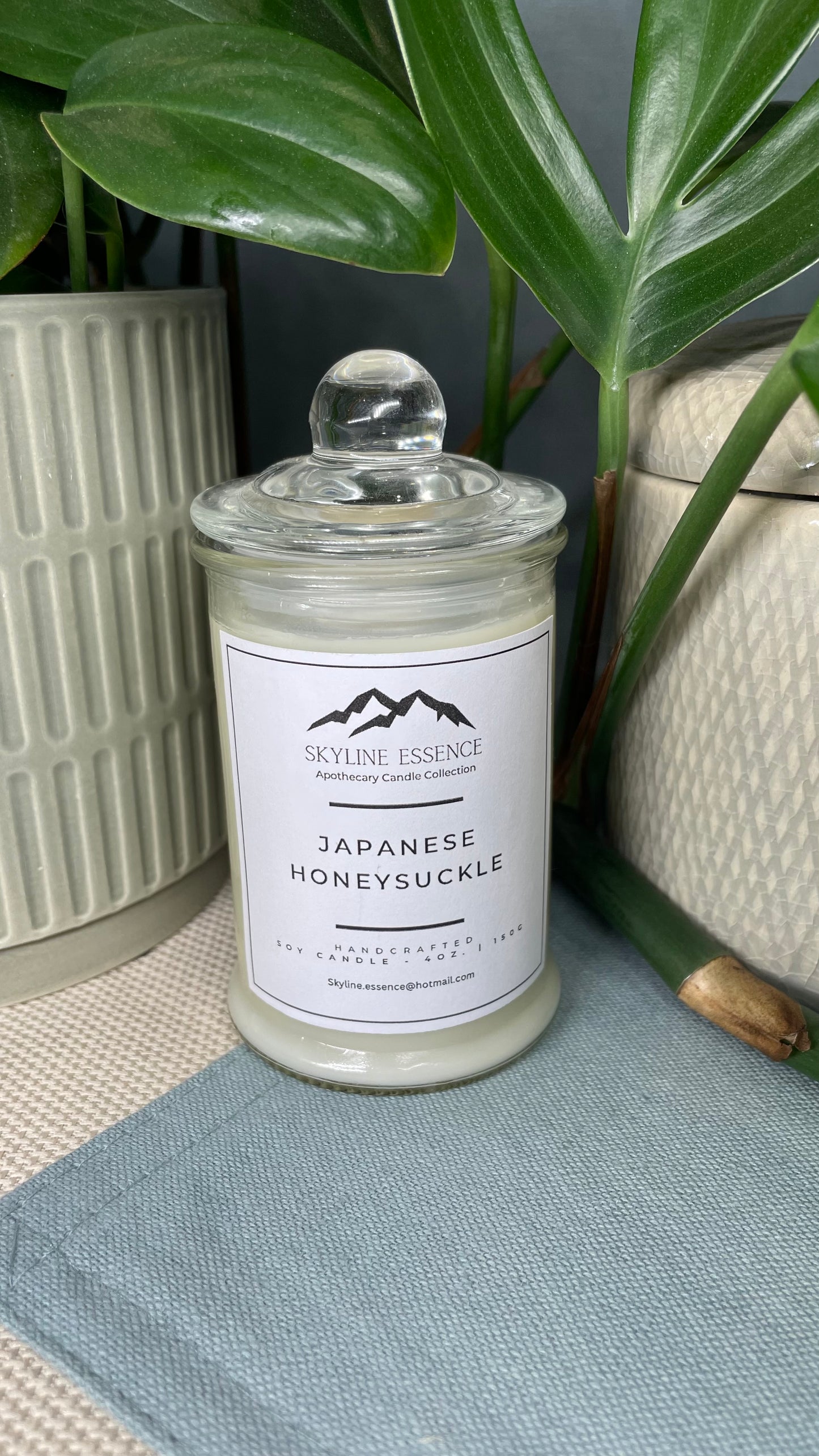 Japanese Honeysuckle - Apothecary