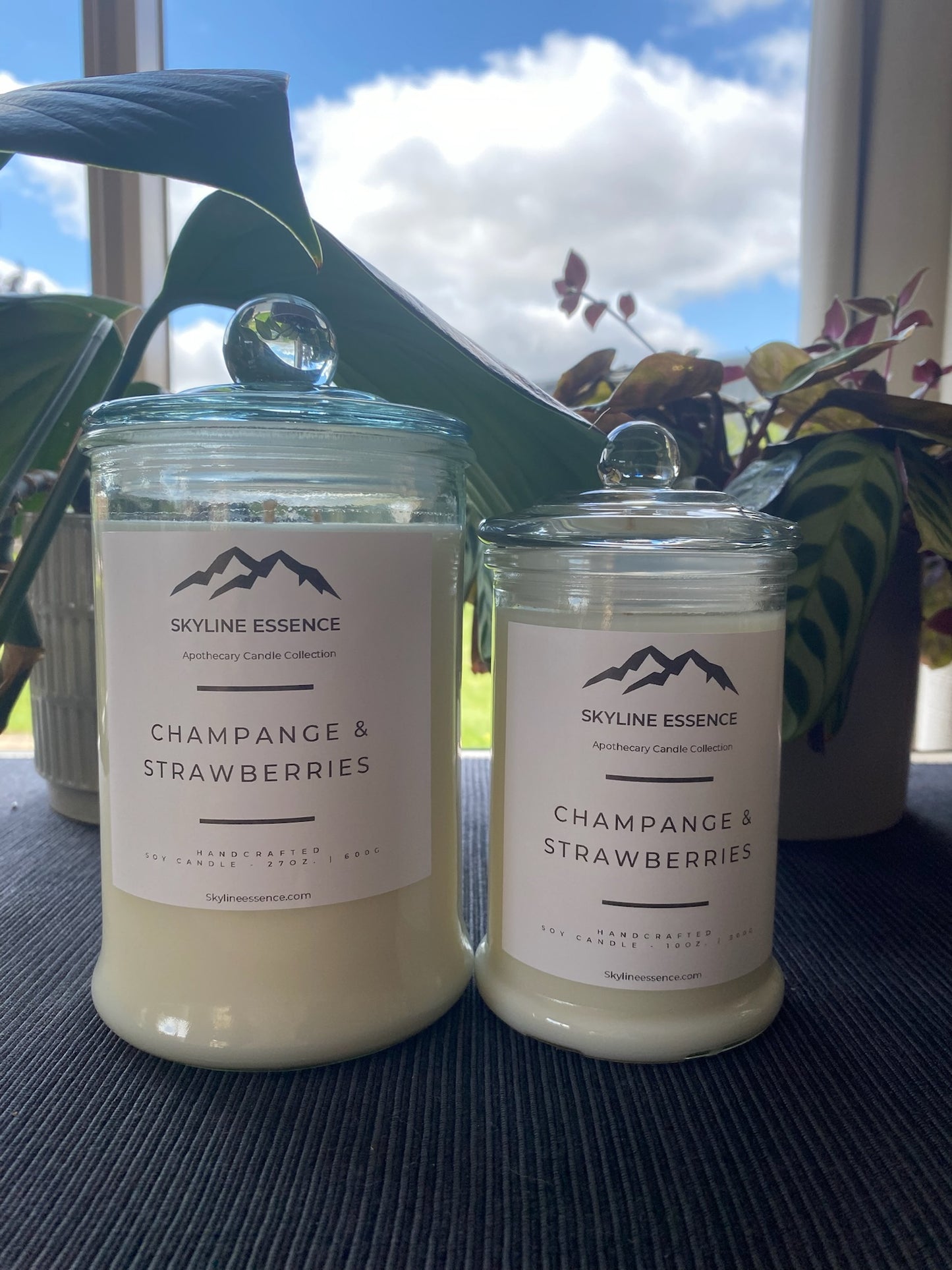 Champagne & Strawberries - Apothecary